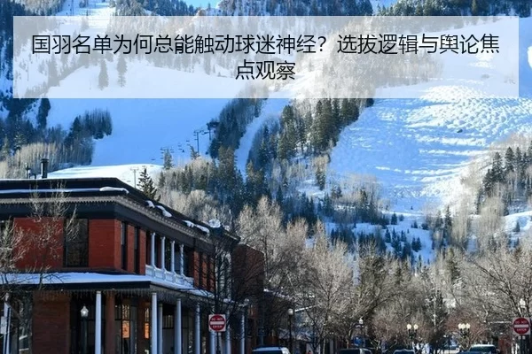 guo-yu-ming-dan-wei-he-zong-neng-chu-dong-qiu-mi-shen-jing-xuan-ba-luo-ji-yu-yu-lun-jiao-dian-guan-cha-2-917.jpg